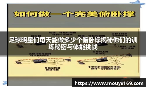 乐竟体育登录入口