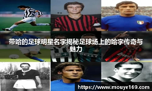 乐竟体育登录入口